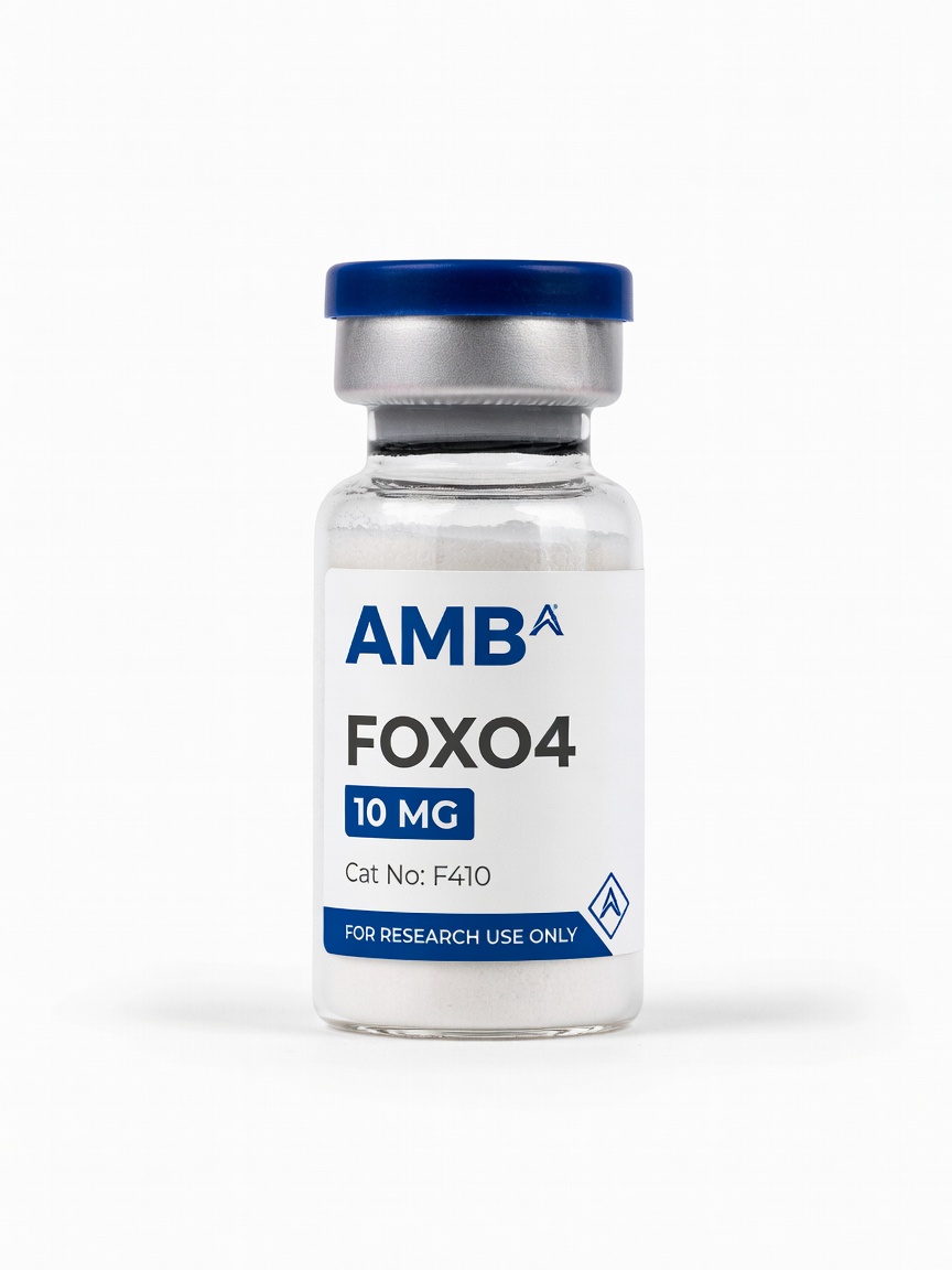 FOXO4 product photo